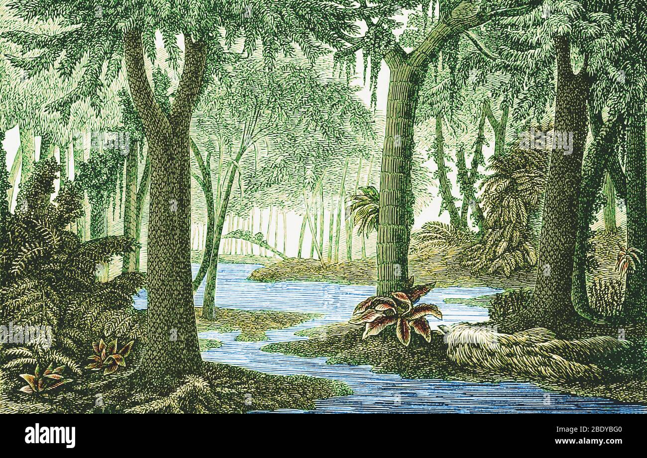 Prehistoric Flora, Carboniferous Landscape Stock Photo