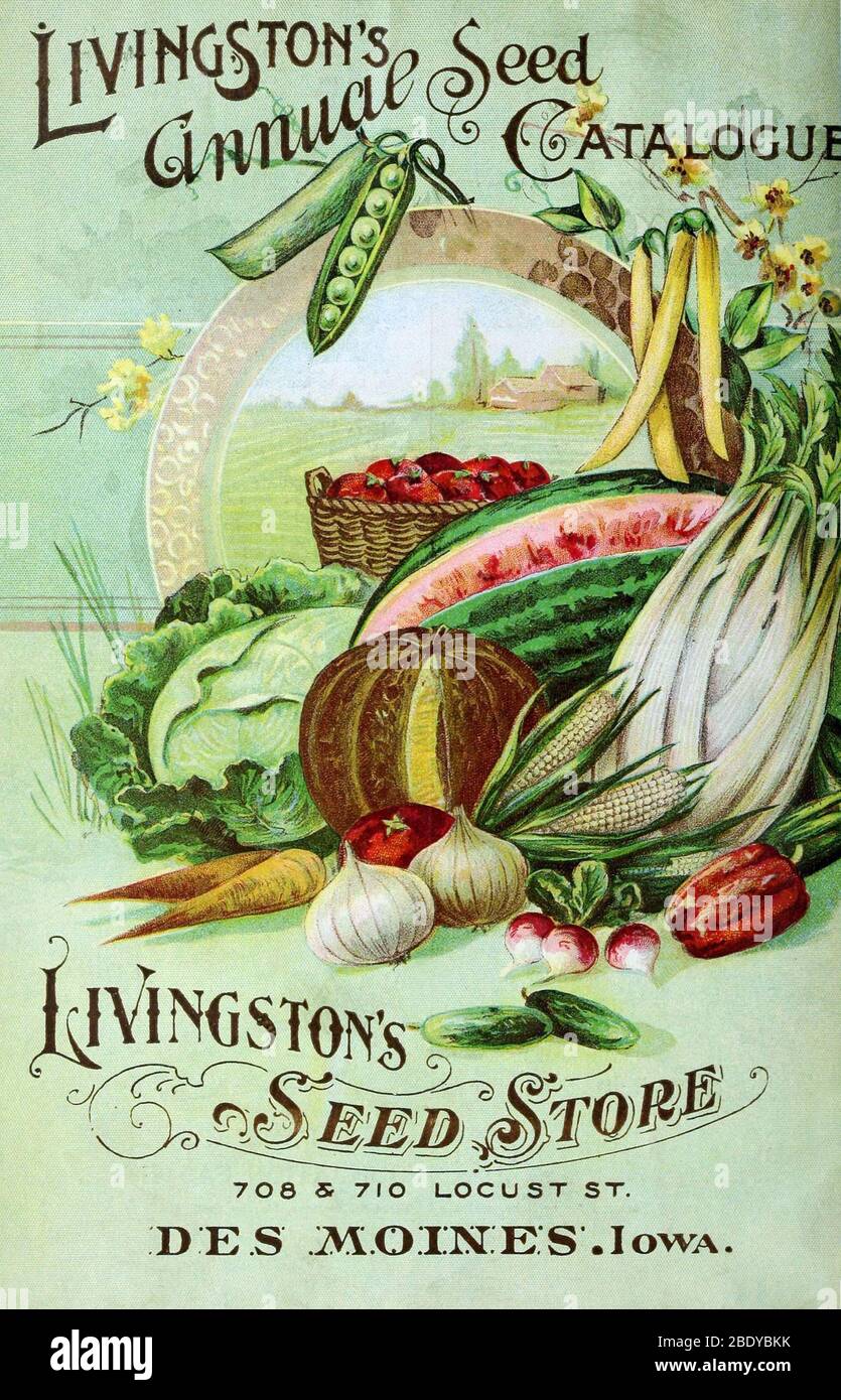 Livingston's Seed Store, 1899 Stock Photo