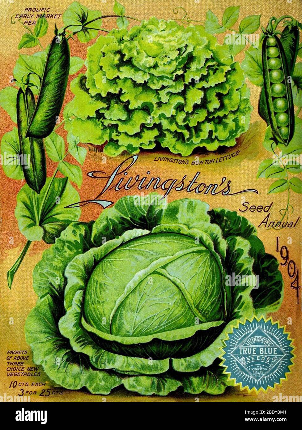 Vegetables, Livingston Seed Co., 1904 Stock Photo