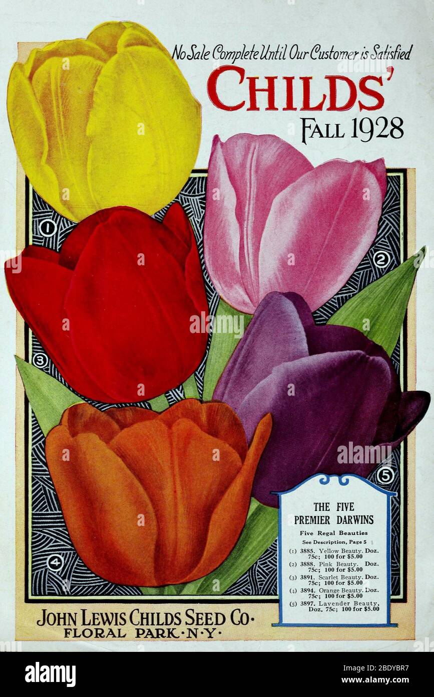 John lewis childs seed catalogue hires stock photography and images