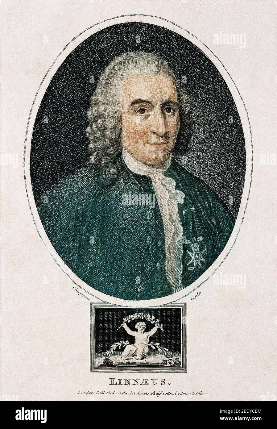 Carl Linnaeus, Swedish Botanist, 1775 Stock Photo