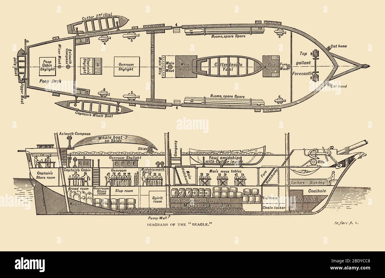 Plan of the HMS Beagle, 1832 Stock Photo