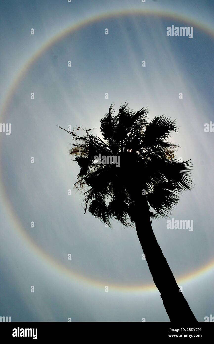 Solar Halo Stock Photo