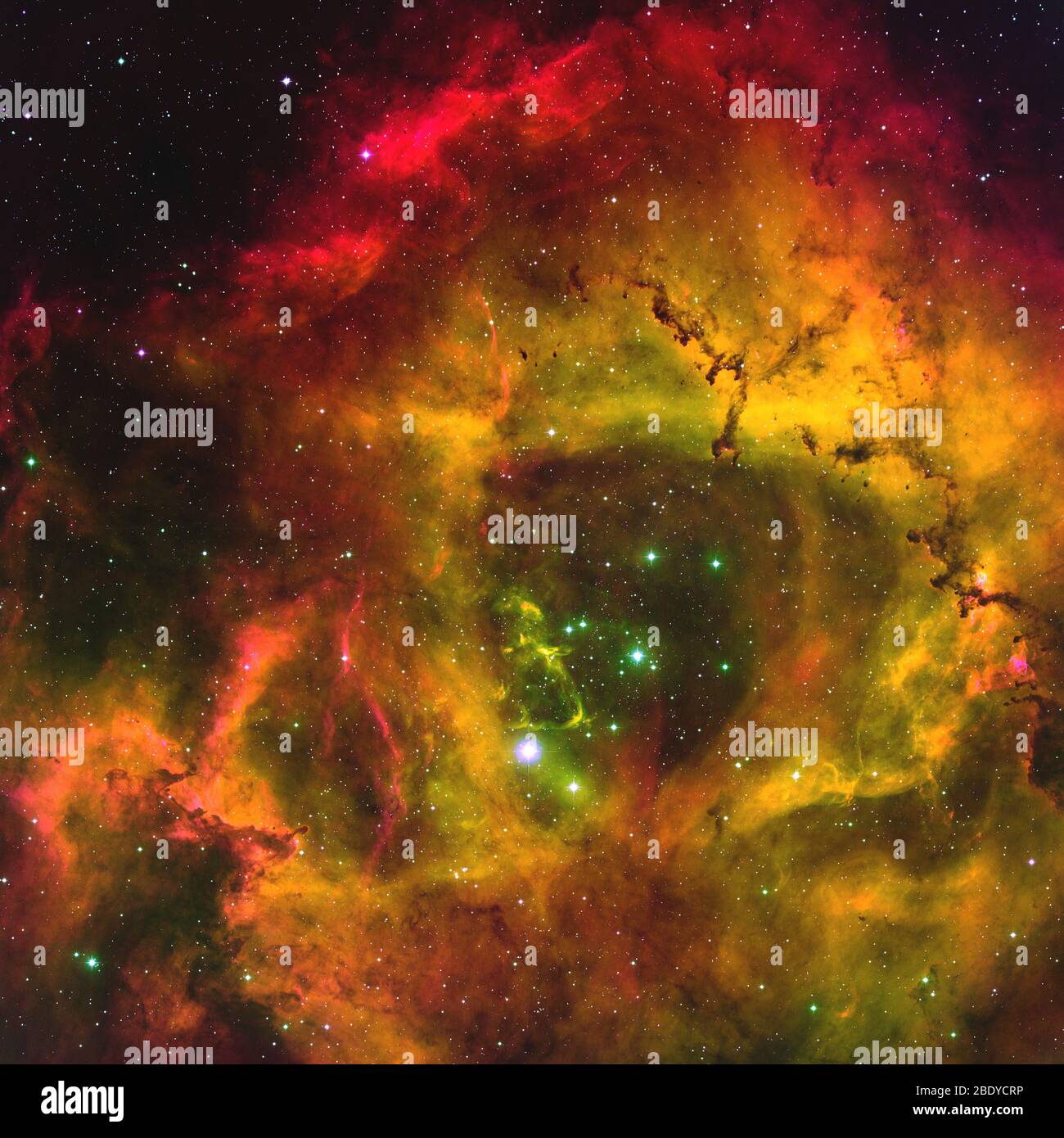 Rosette Nebula, NGC 2237, Caldwell 49 Stock Photo