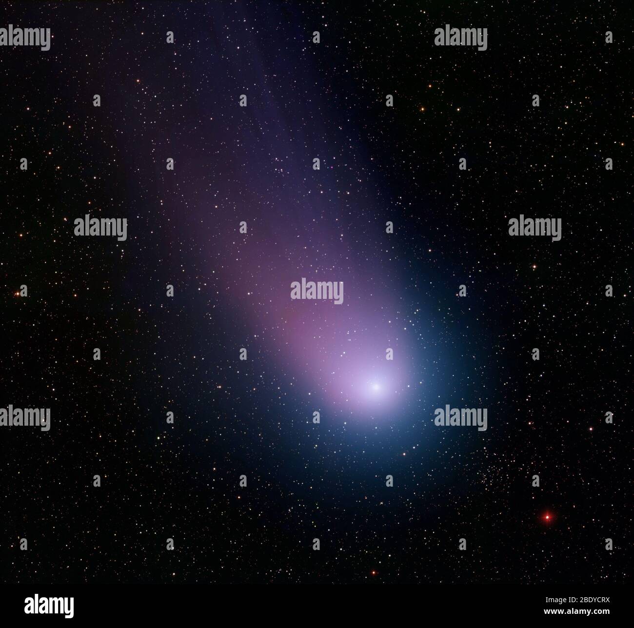 Comet C/2001 Q4 (NEAT), 2004 Stock Photo