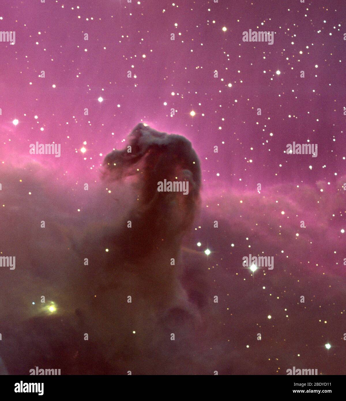 Horsehead Nebula, Barnard 33, B33 Stock Photo