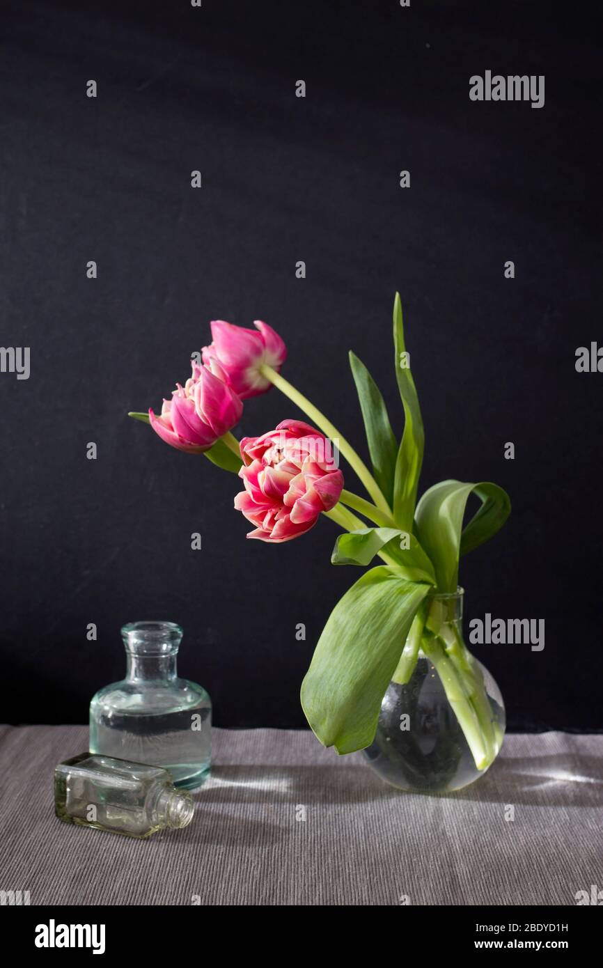 Three red terry tulips in a round vase with small pharmaceutical bottles on a black background Stock Photo