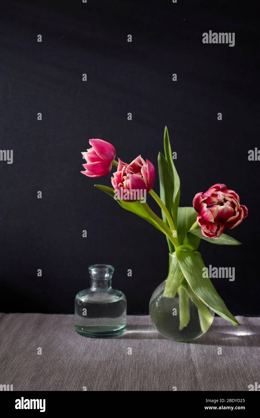 Three red terry tulips in a round vase with small pharmaceutical bottles on a black background Stock Photo