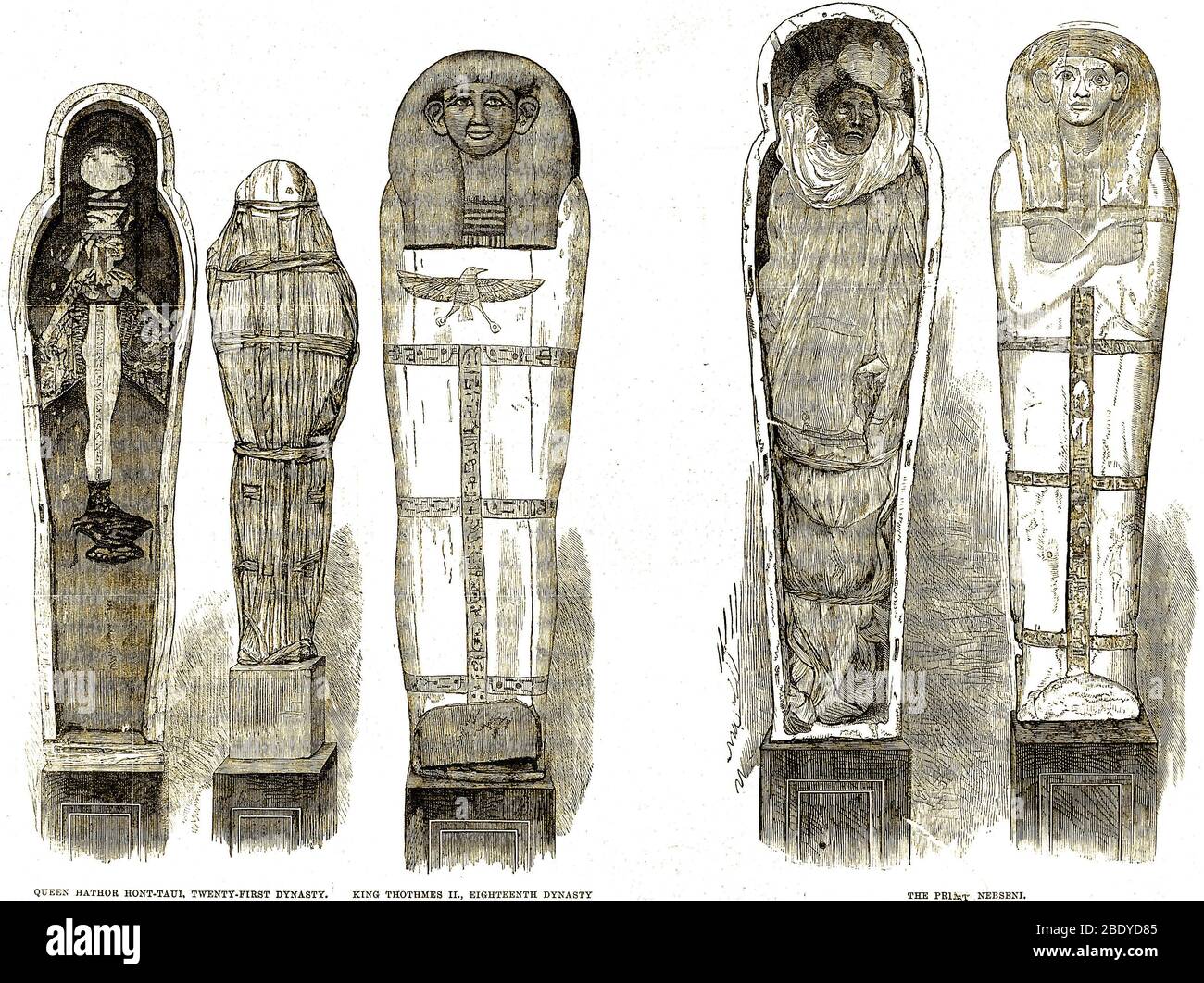 Sarcophagi and Egyptian Mummies, Illustration Stock Photo