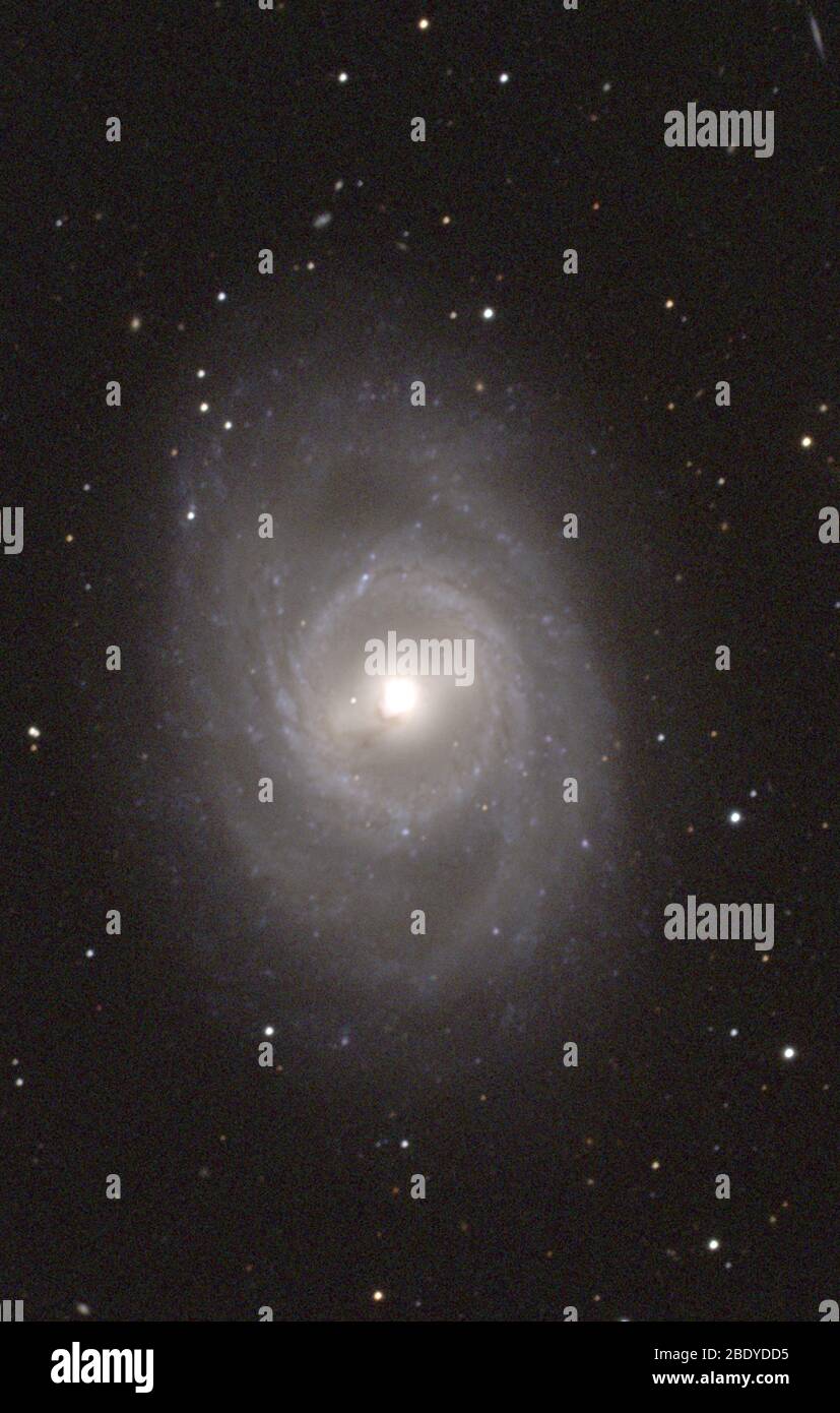 Barred and Ringed Spiral Galaxy, M95, NGC 3351 Stock Photo