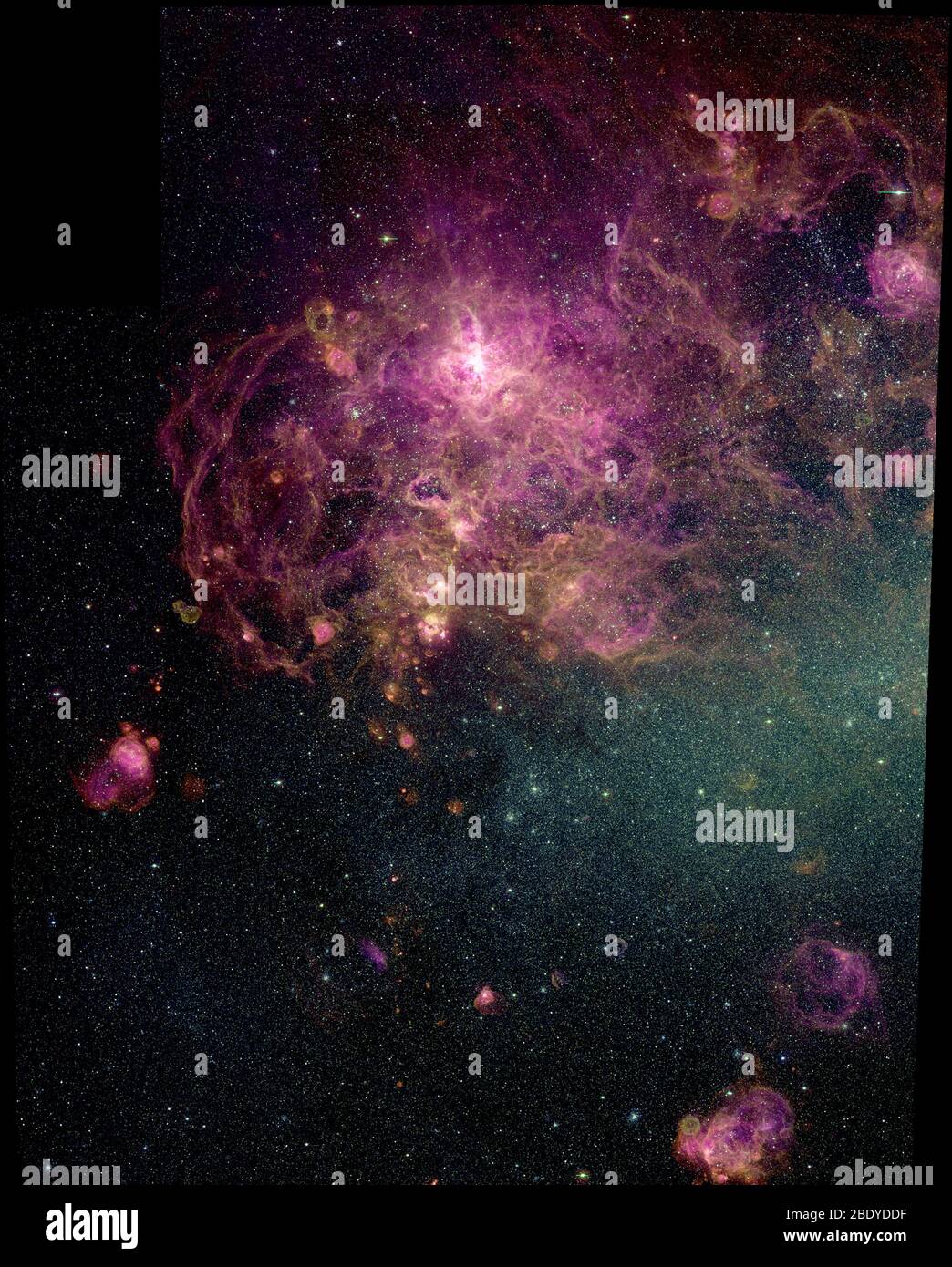 Tarantula Nebula, NGC 2070, 30 Doradus Stock Photo
