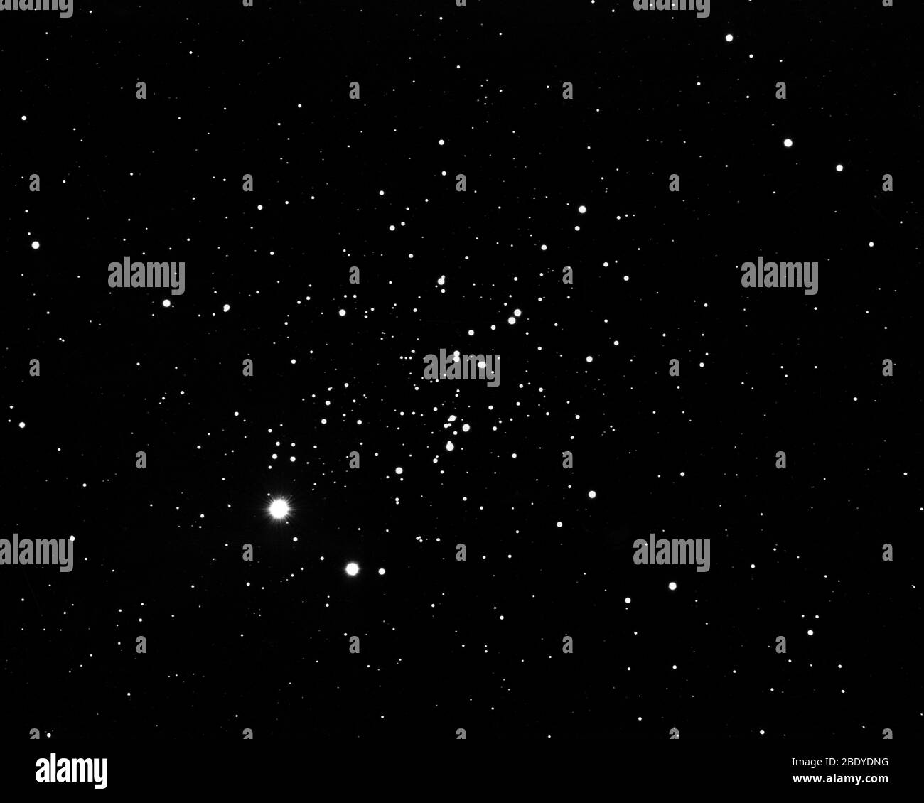 Owl Cluster AKA ET Cluster, NGC 457 Stock Photo
