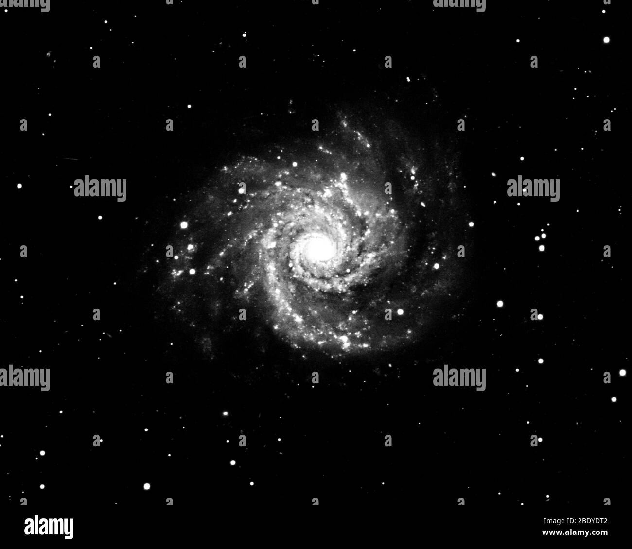 Grand Design Spiral Galaxy, M74, NGC 628 Stock Photo