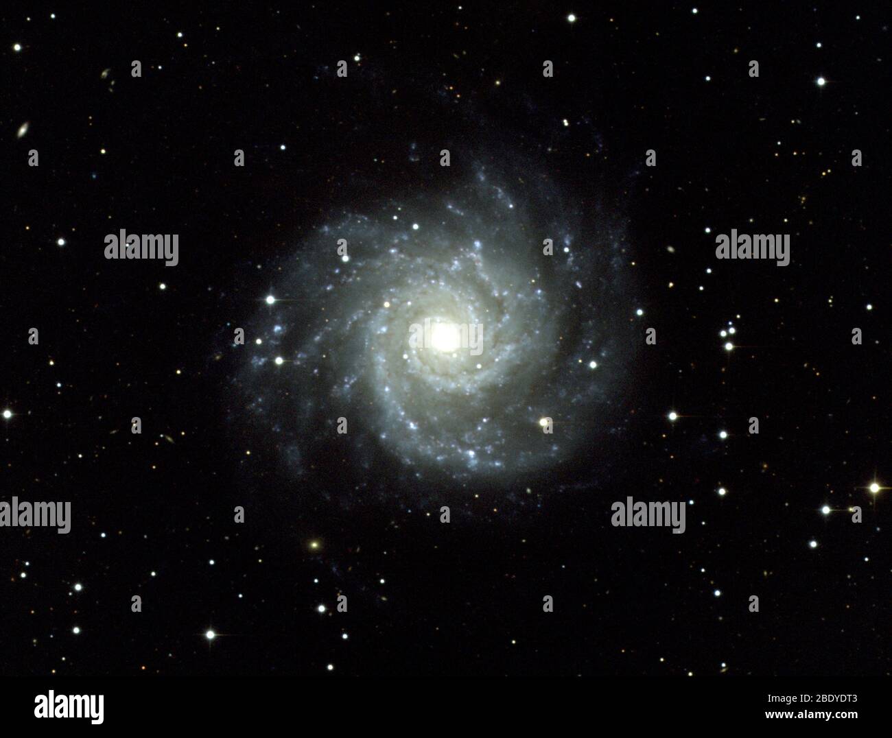 Grand Design Spiral Galaxy, M74, NGC 628 Stock Photo