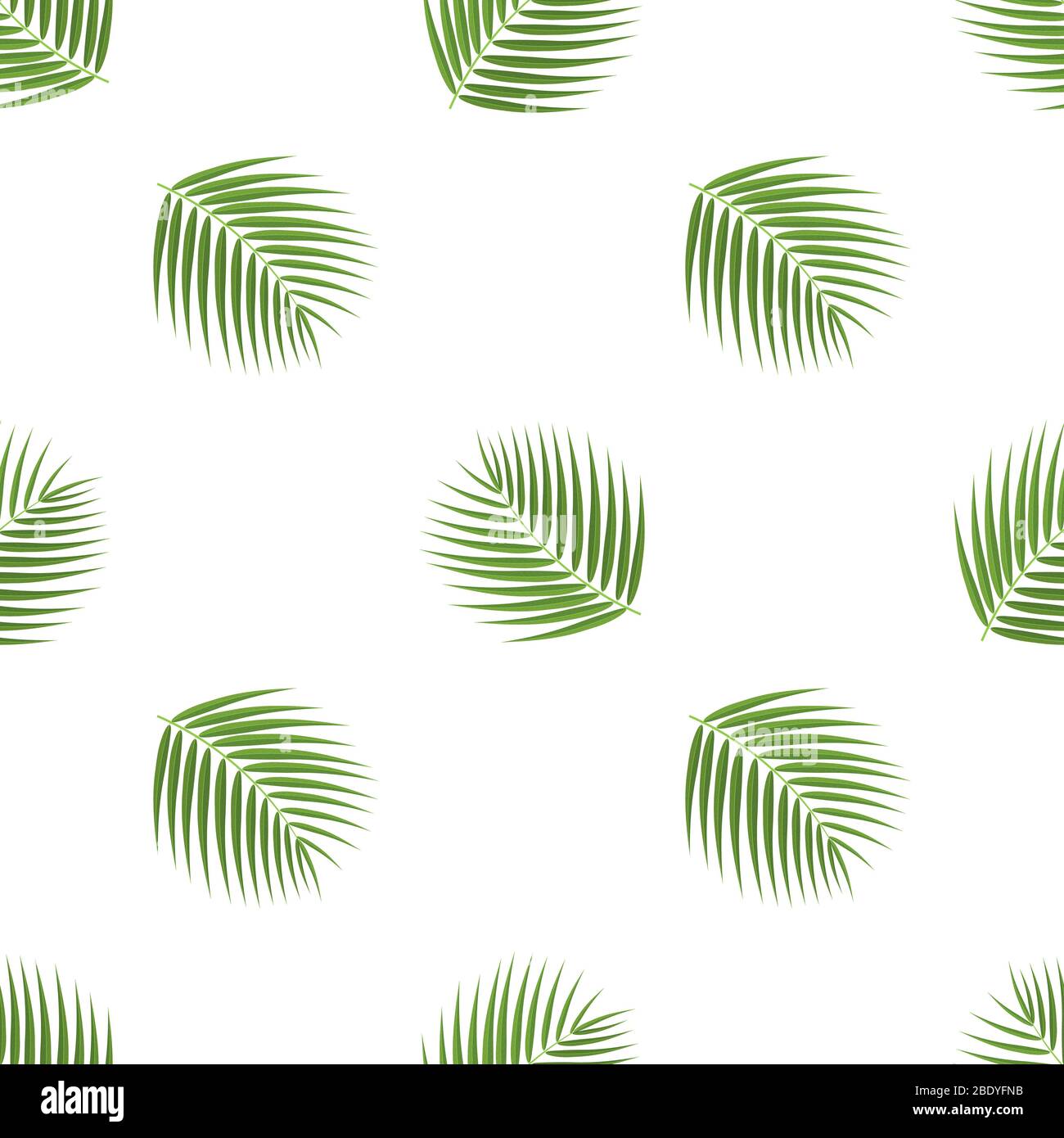 Seamless pattern with cartoon detailed exotic coconut leaf on white  background. Vector illustration for any design Stock Vector Image & Art -  Alamy