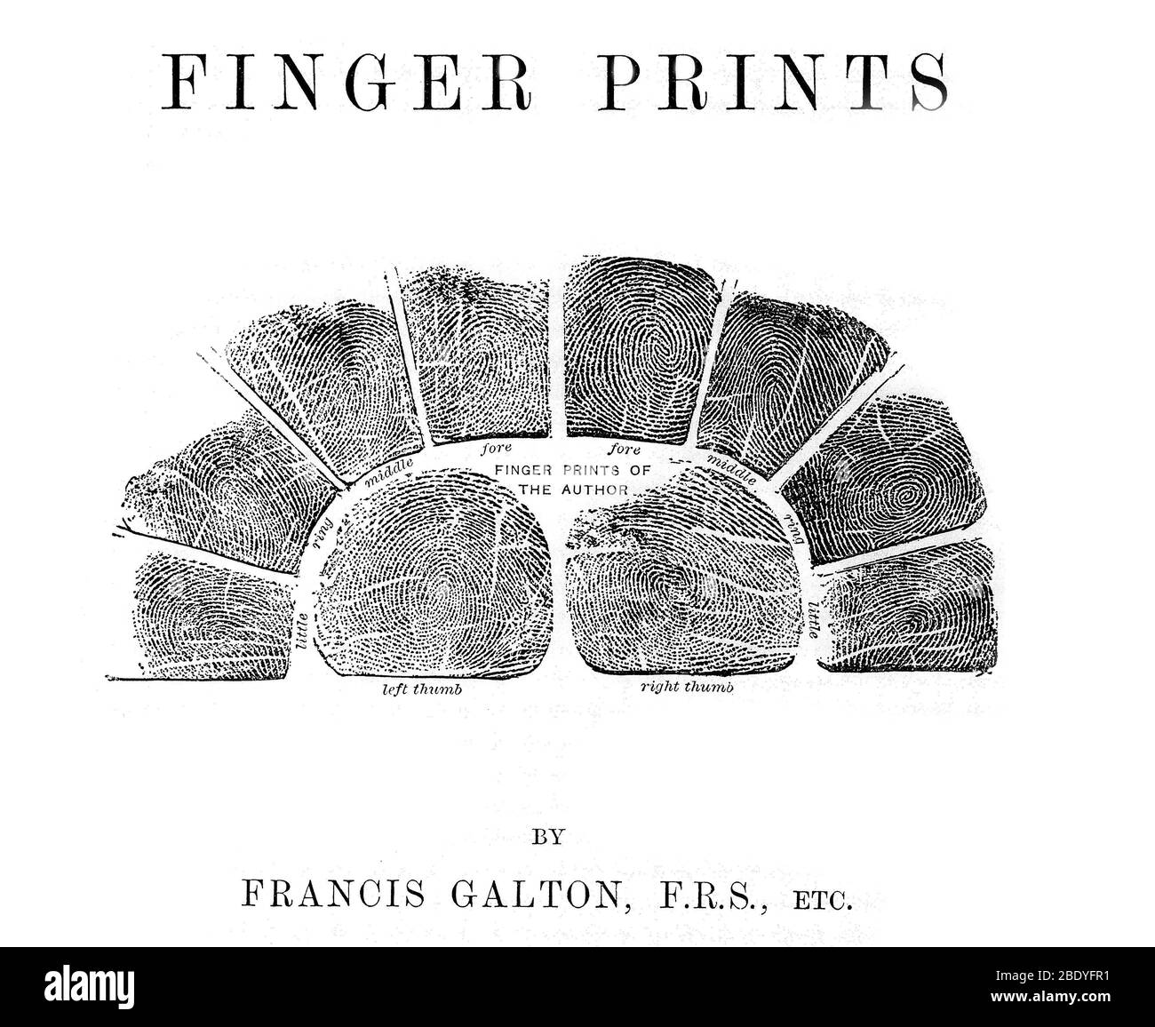 Francis Galton's Fingerprints, 1892 Stock Photo