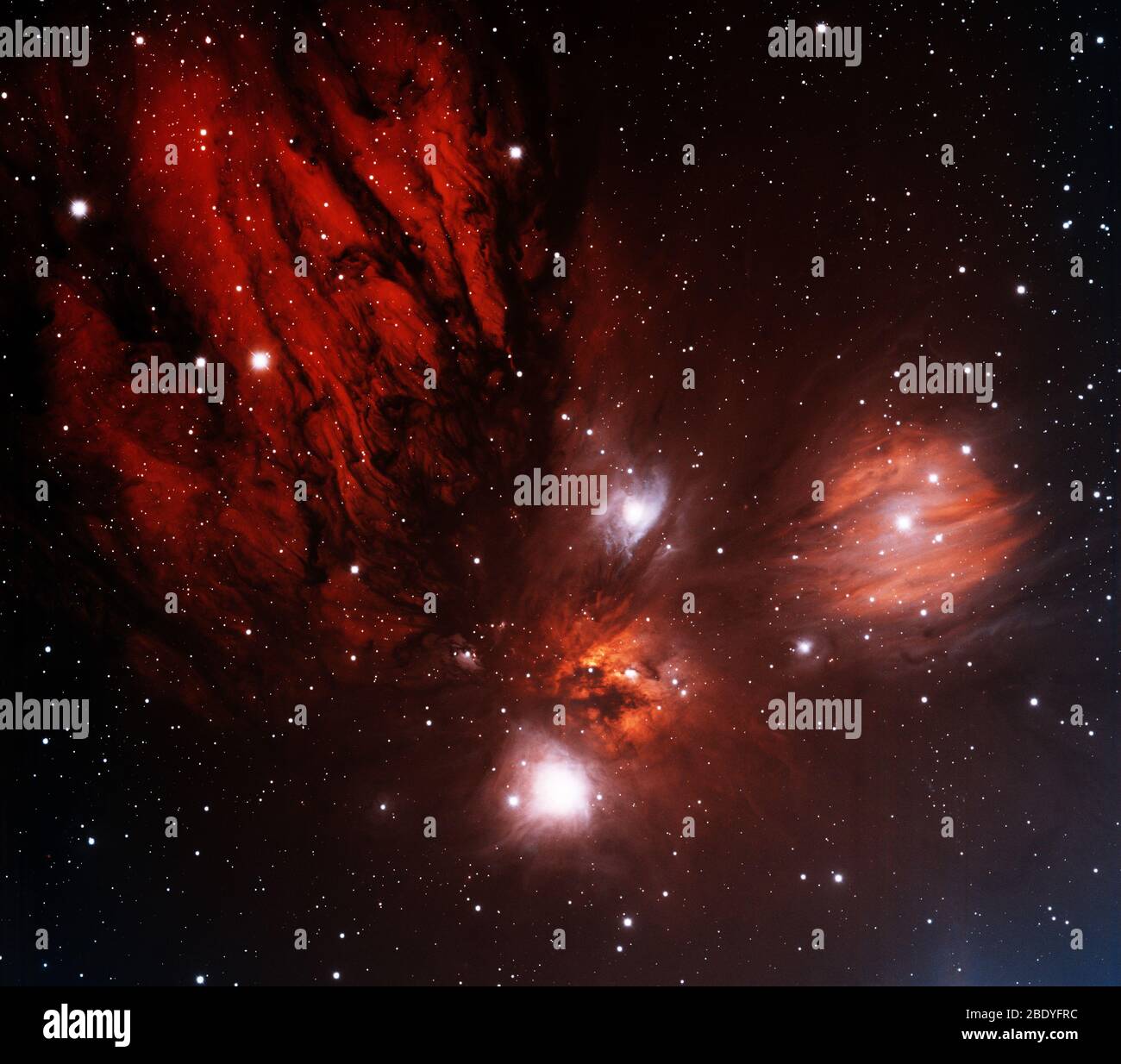 Star-Forming Region, Monoceros R2 Stock Photo