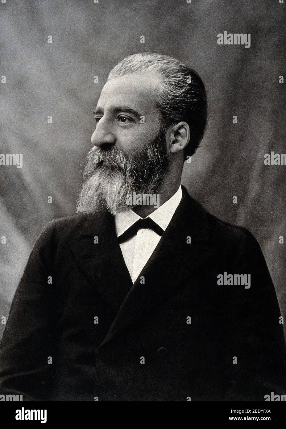 Henri Moissan, French Chemist and Inventor Stock Photo