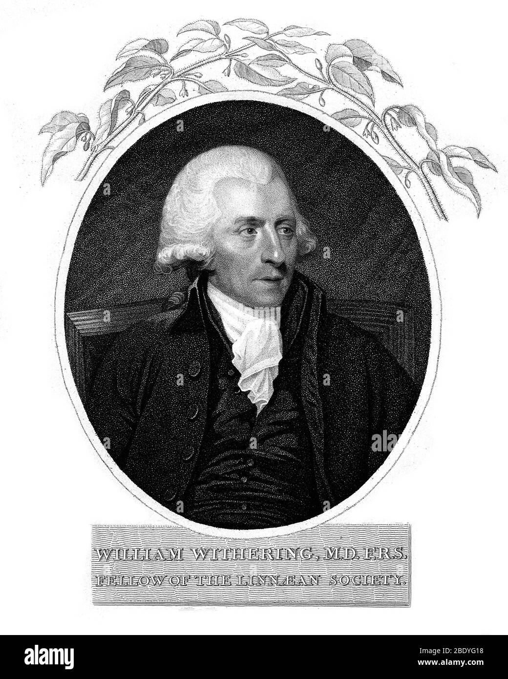 William Withering, English Botanist and Chemist Stock Photo