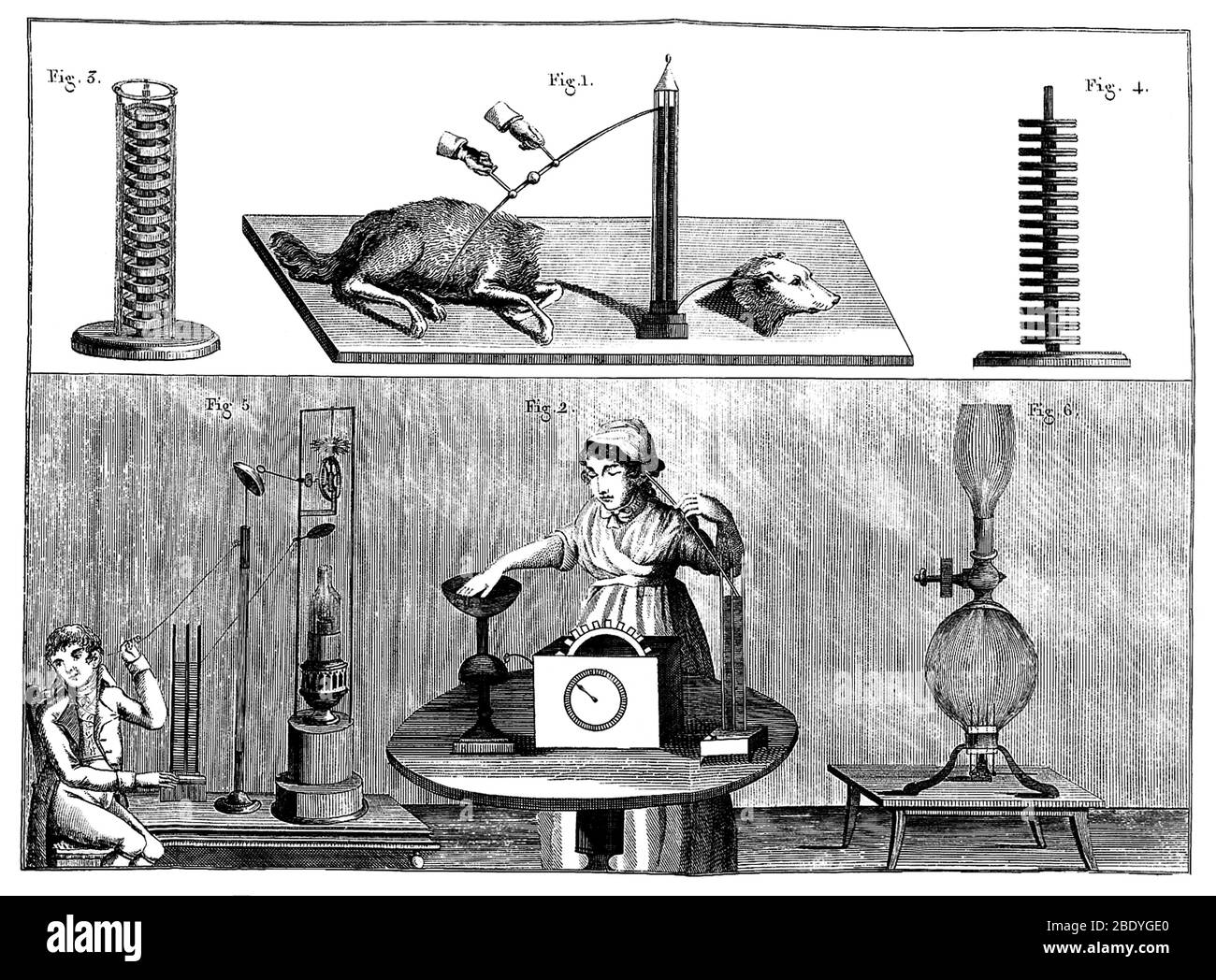 Galvanism Experiments, 1804 Stock Photo