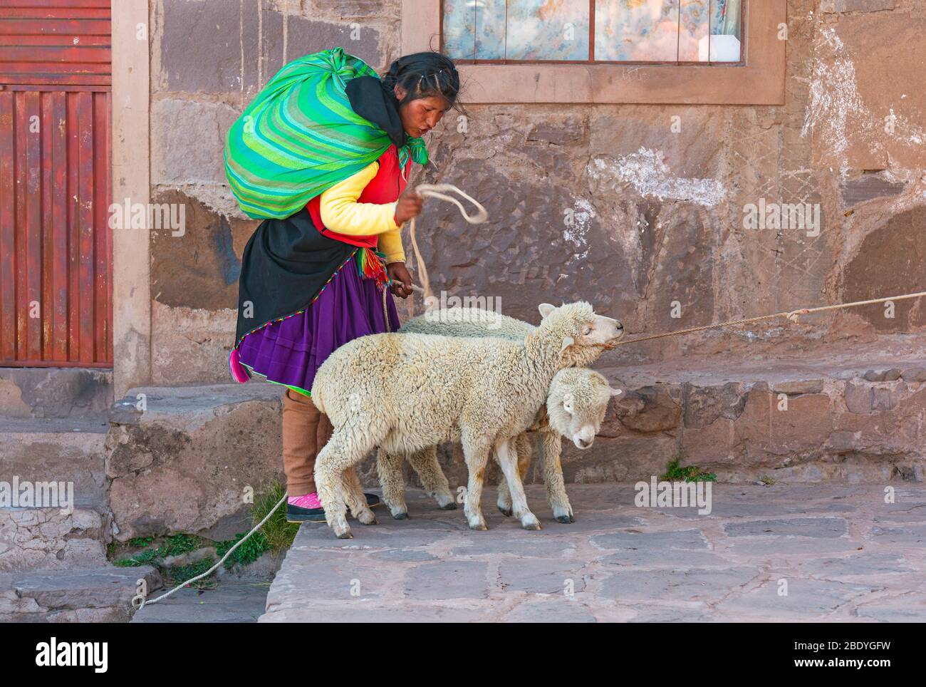 Peruvian Quechua indigenous woman in traditional clothing with two sheep, Titicaca Lake, Isla Taquile, Peru. Stock Photo