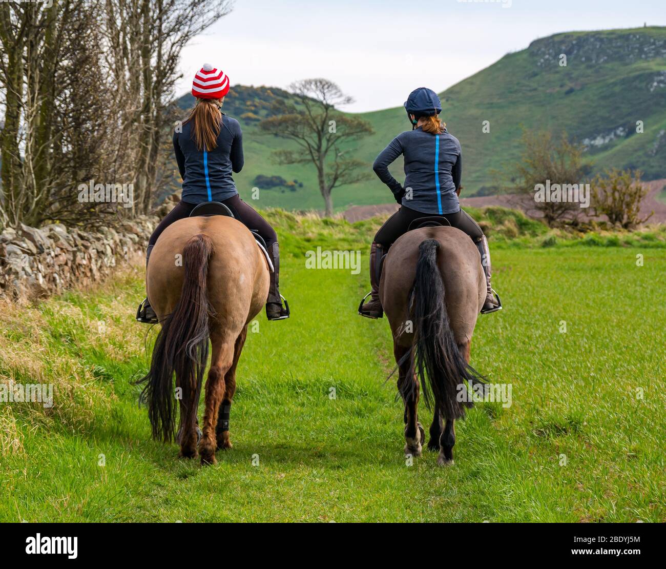 Riding crop hires stock photography and images Alamy