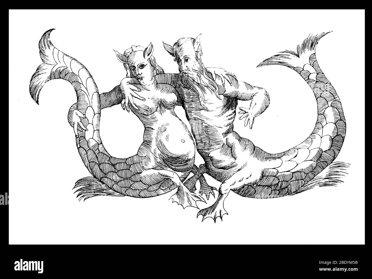 Triton and Siren, Legendary Creatures Stock Photo