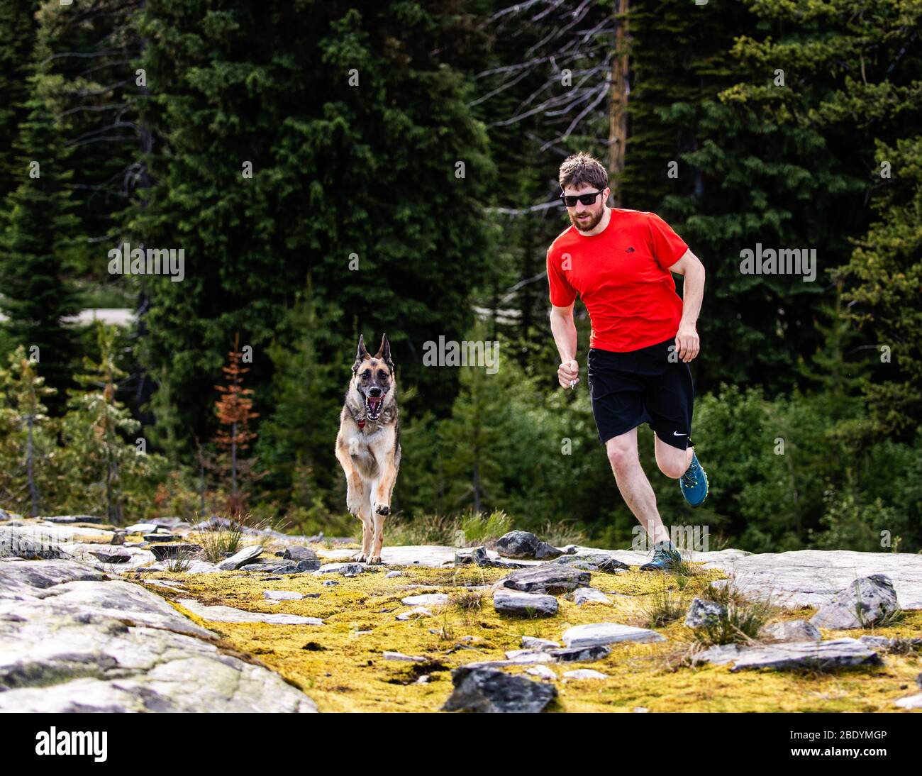 Man running with his German Shepherd dog in the wilderness between Montana and Idaho. Stock Photo