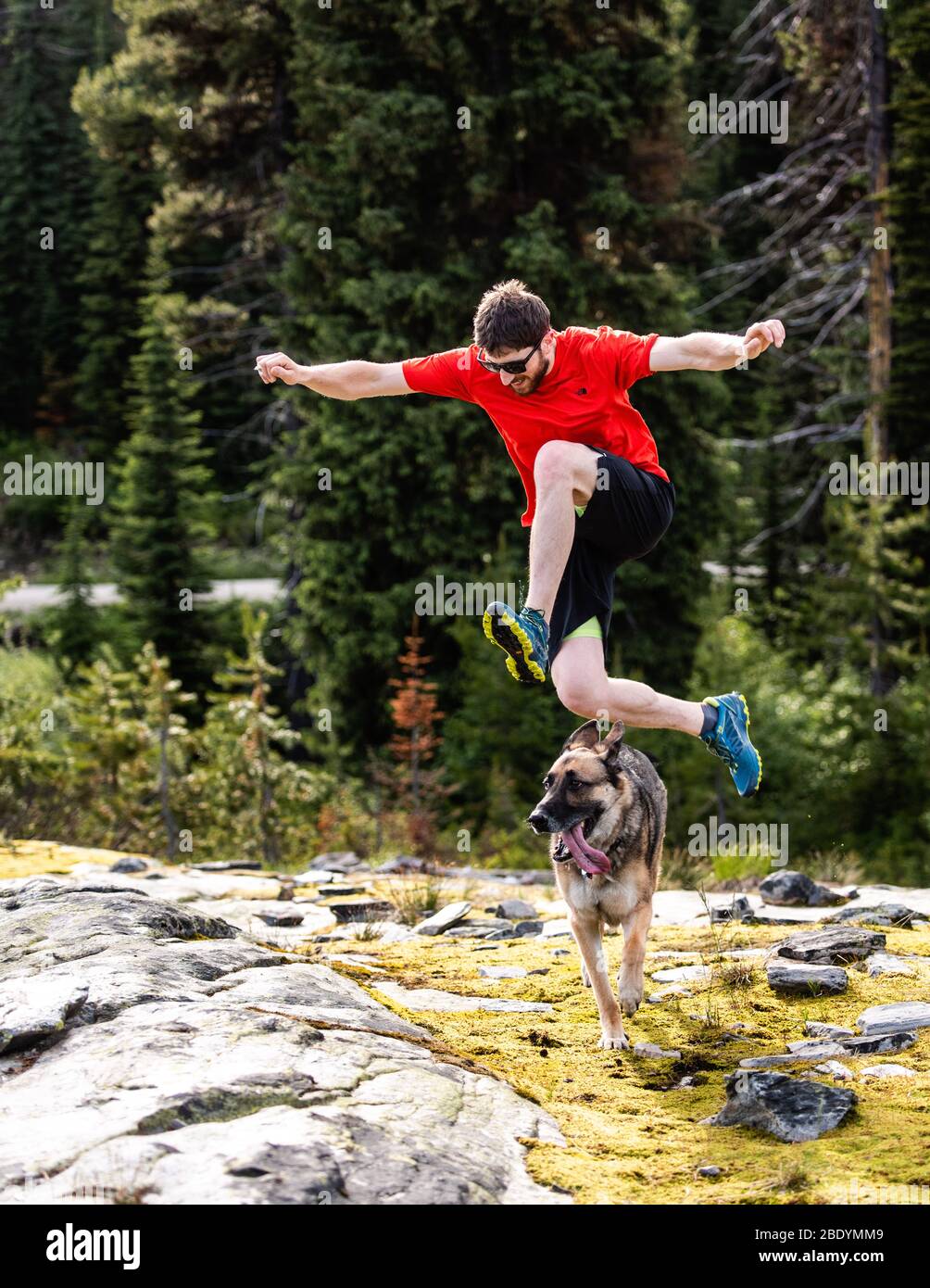 Man jumps over dog as she unexpectedly cut in front of him. Stock Photo