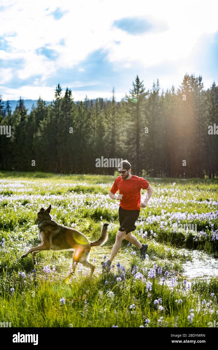 Owner trail running with their German Shepherd dog on the MT/ ID border. Stock Photo