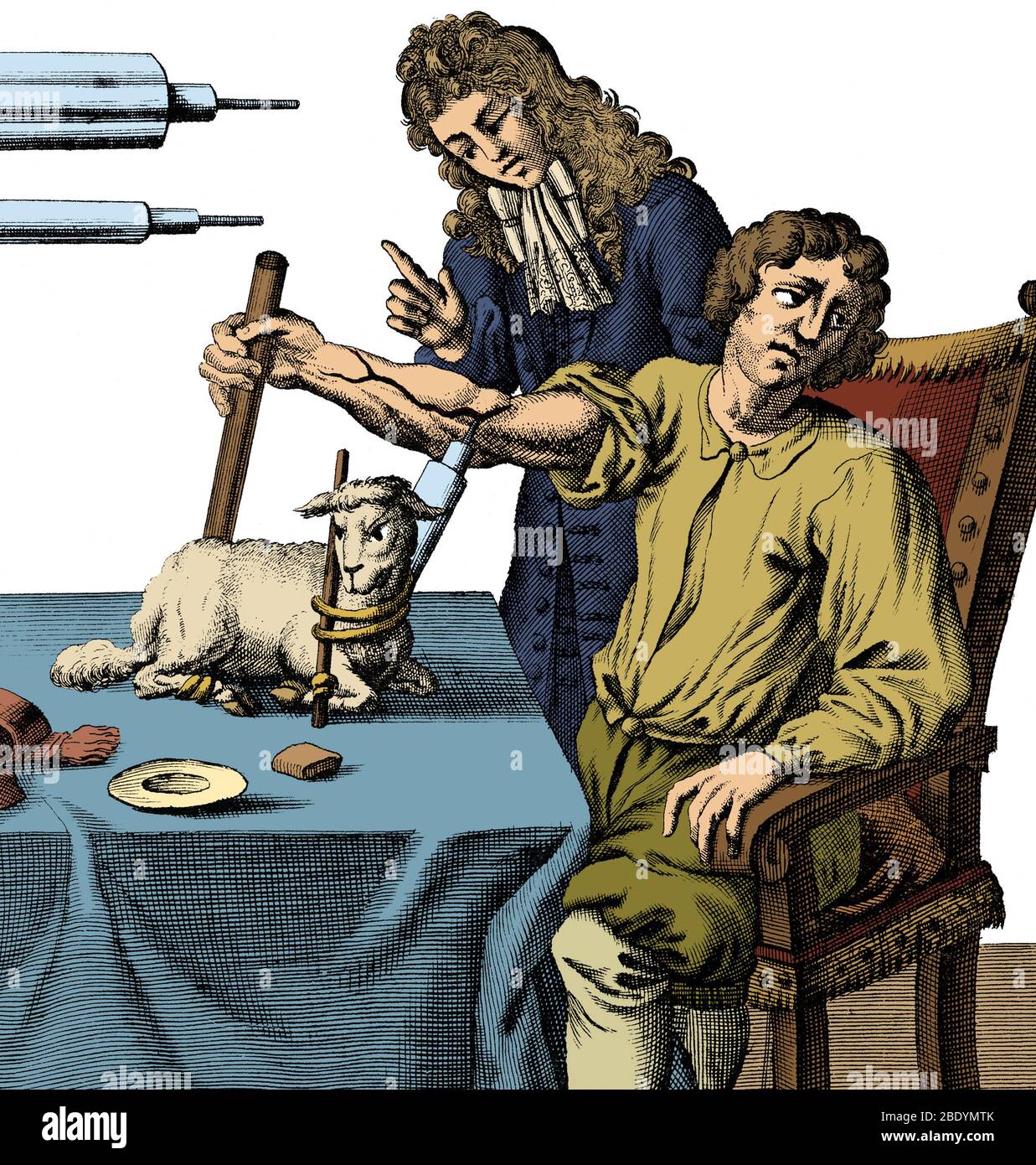 Richard Lower Transfusing Blood Lamb To Man 1667 Stock Photo Alamy