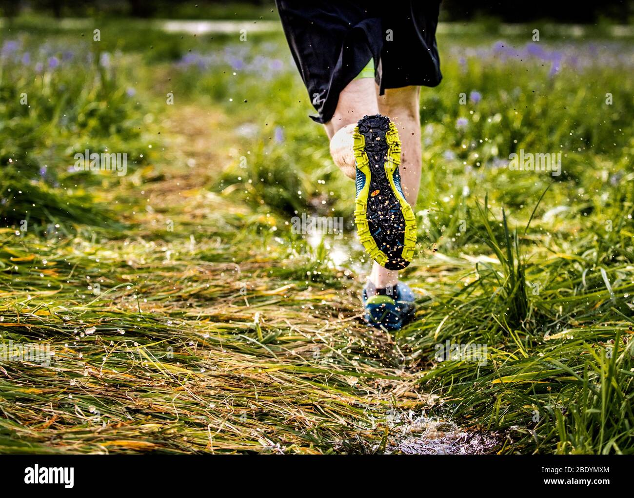 Man spring trail running on the MT, ID border. Stock Photo