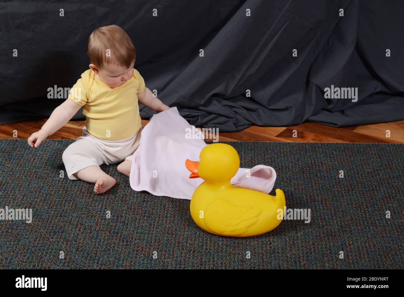 Object permanence, 5 of 6 Stock Photo