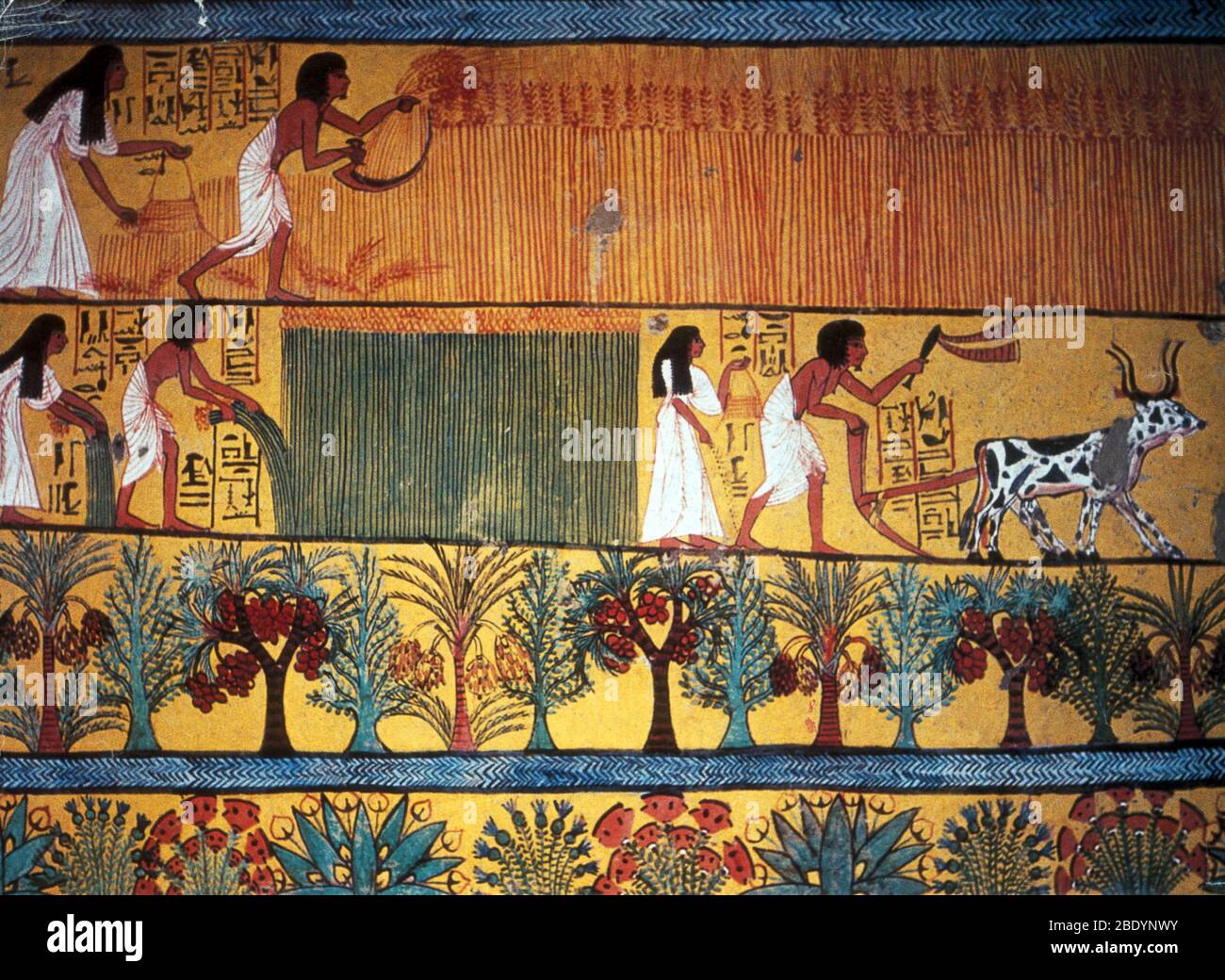 Ancient Egyptian Agriculture, 1200 BC Stock Photo