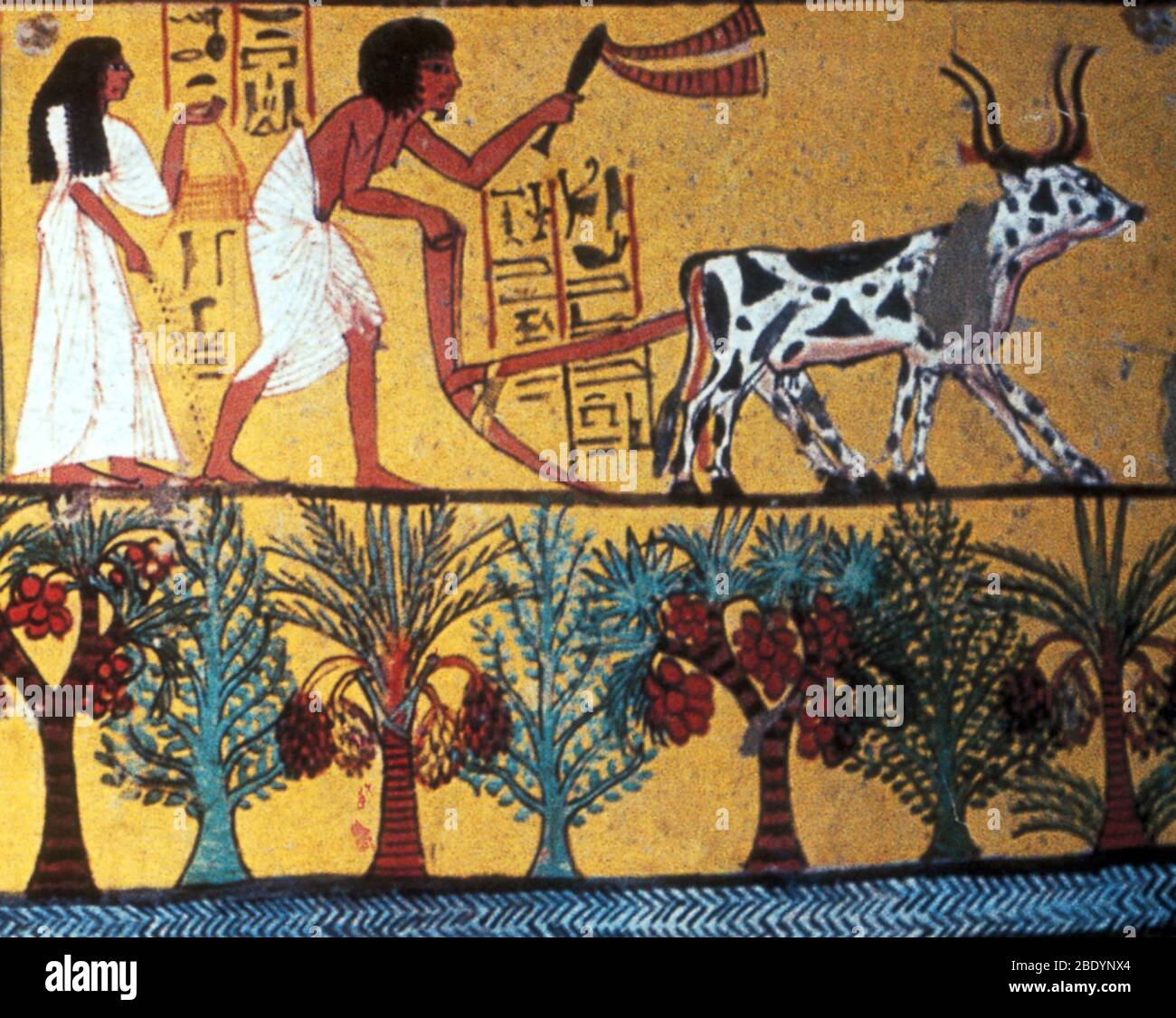 Ancient Egyptian Agriculture, 1200 BC Stock Photo
