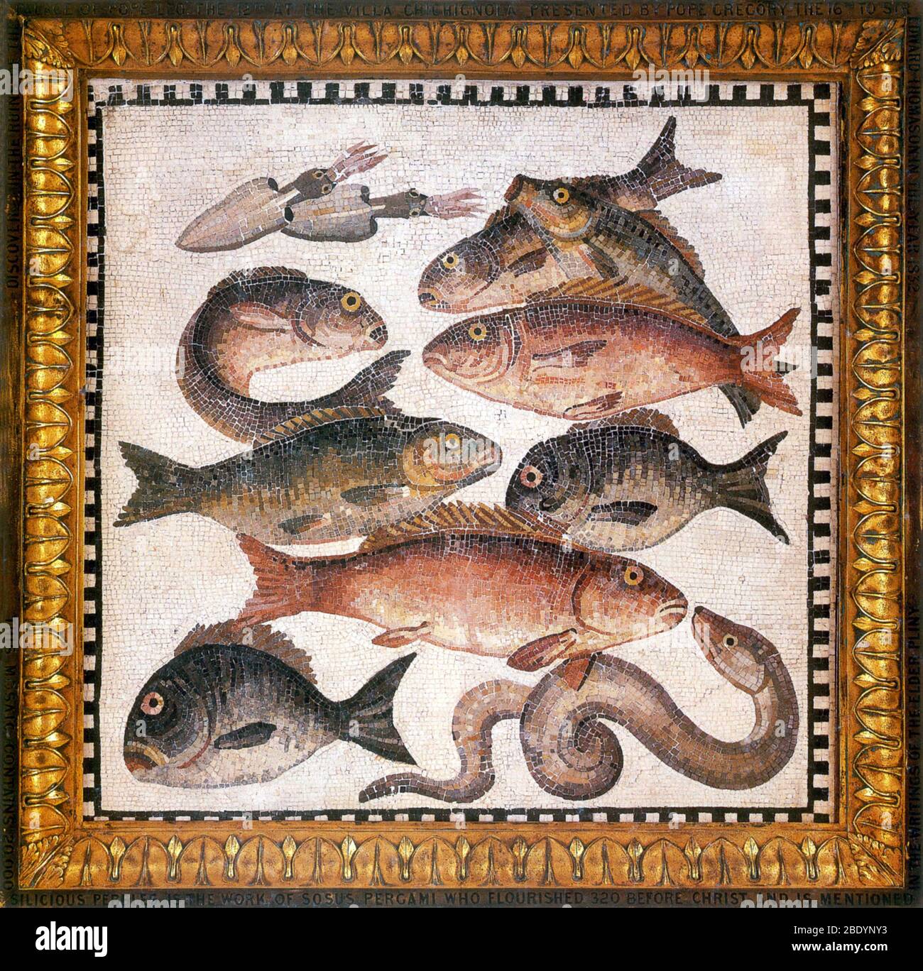 Roman Marine Mosaic, 2nd Century BC Stock Photo