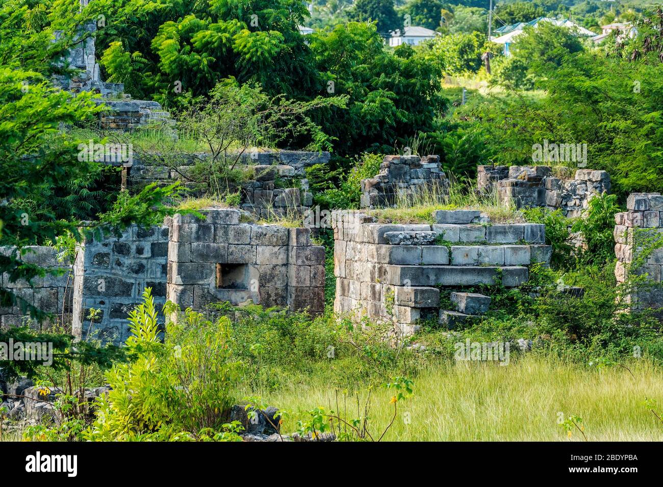 Overgrown Buildings, Betty's Hope Sugar Mill, Antigua, West Indies Stock Photo