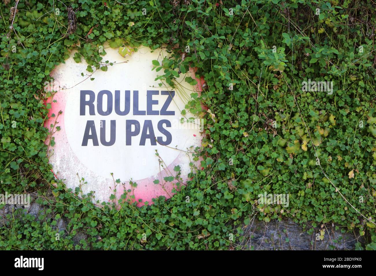 Roulez au pas. Panneau sur un mur recouvert de lierre. Saint-Gervais-les-Bains. Haute-Savoie. France. Stock Photo