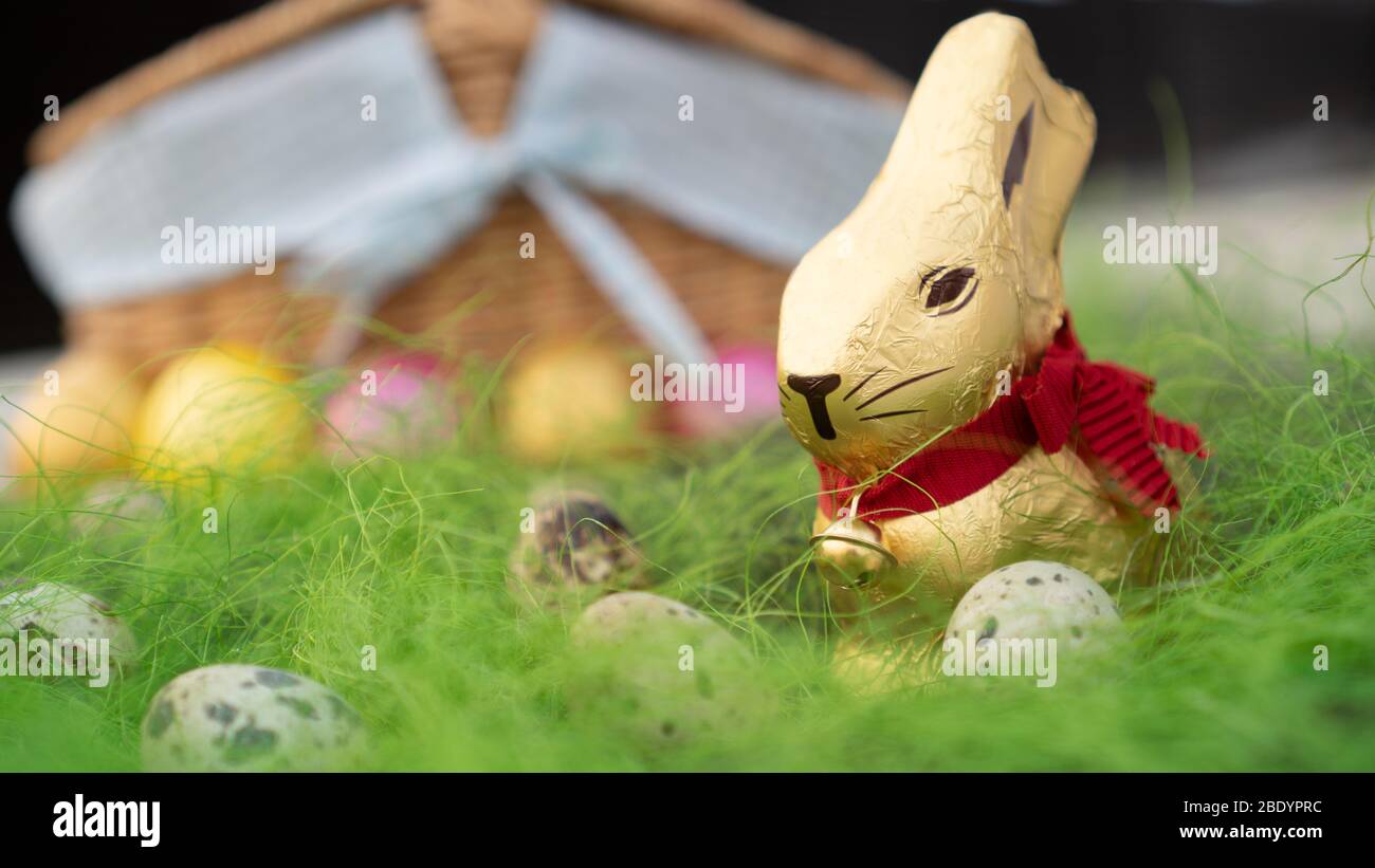 Sweet Easter bunny looking for eggs on green grass. Easter background. Stock Photo