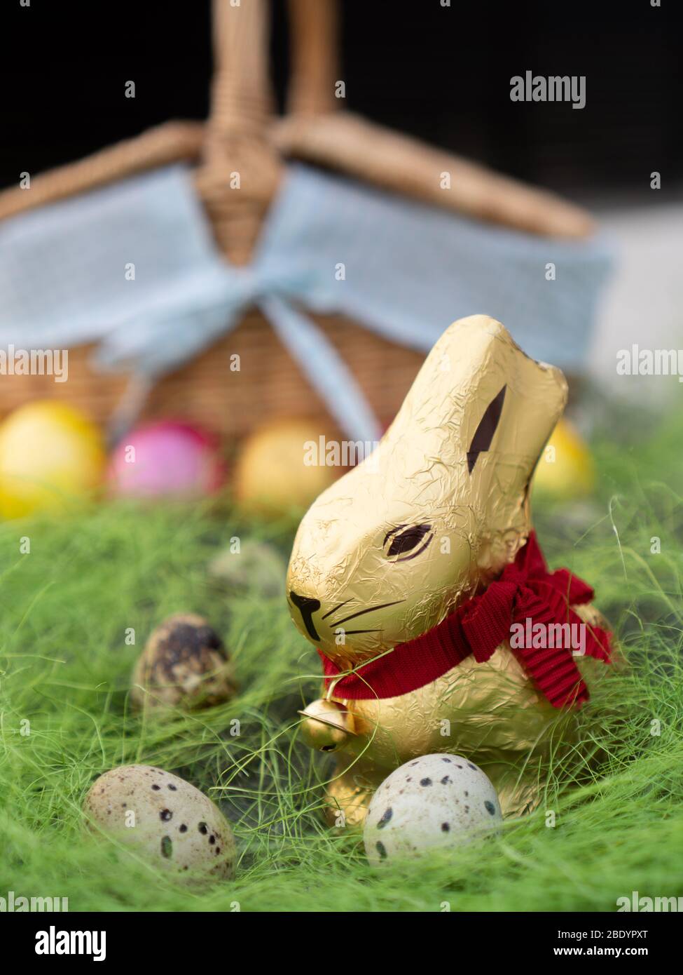 Sweet Easter rabbit looking for eggs on green grass. Easter background. Stock Photo