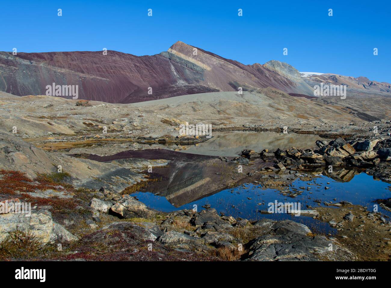 Greenland Coastal Rocks Greenland landscape with beautiful coloured rocks Stock Photo - Alamy