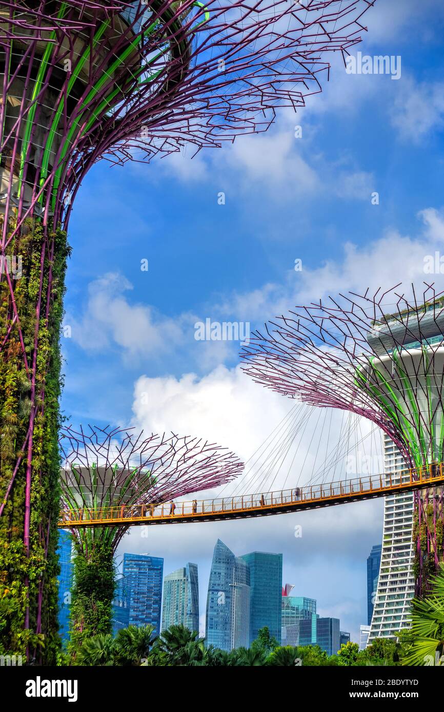 Gardens by the Bay in Singapore at day. People walk on a suspension bridge, in the background skyscrapers of the business district of the city. Stock Photo