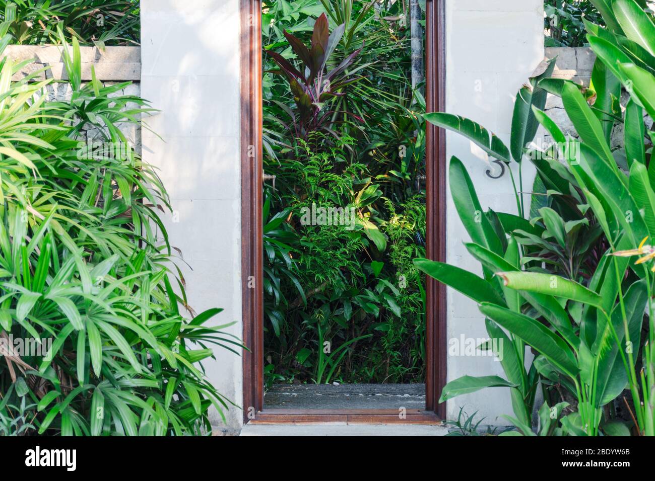 Entrance doorway with tropical plants Stock Photo