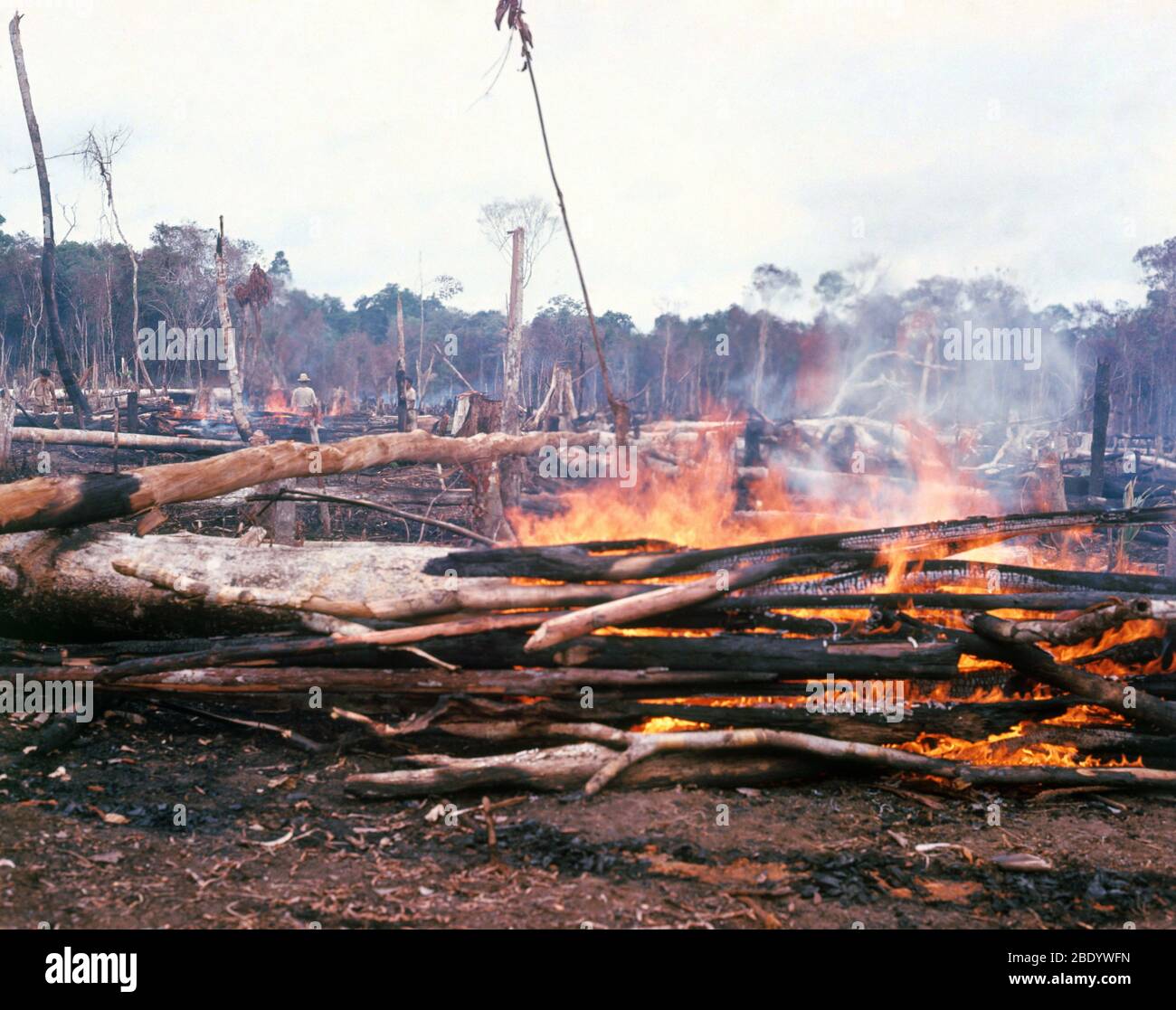 Factories creating pollution and increasing Global Warming. Busy