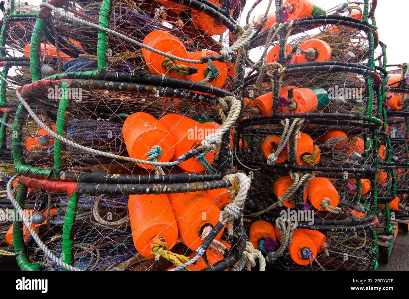 crabbing equipment near me