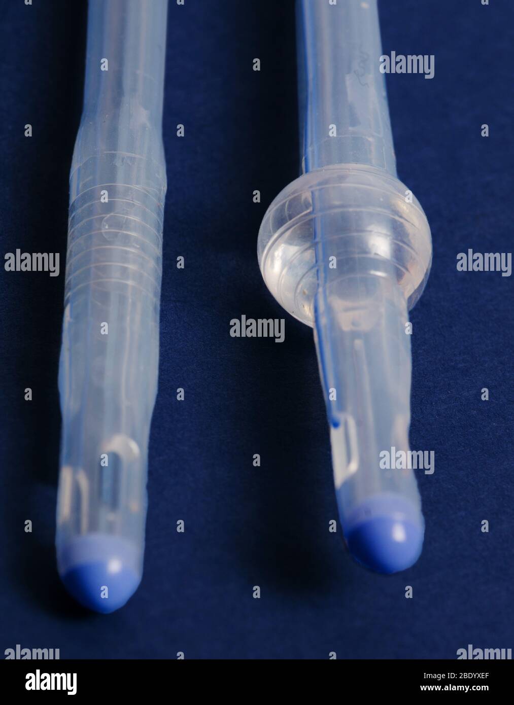 Foley Catheter showing Inflated Balloon Stock Photo