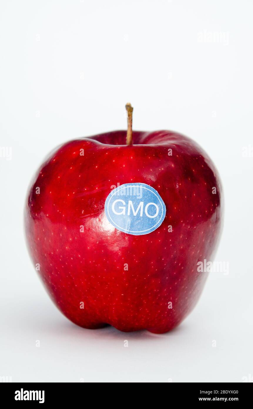 Genetically Modified Produce, Apple Stock Photo