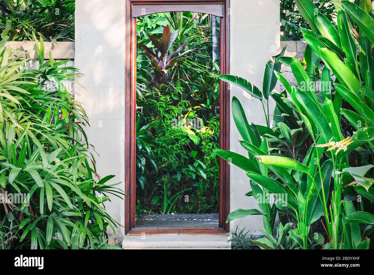 Wooden doorway surrounded by tropical plants. Stock Photo