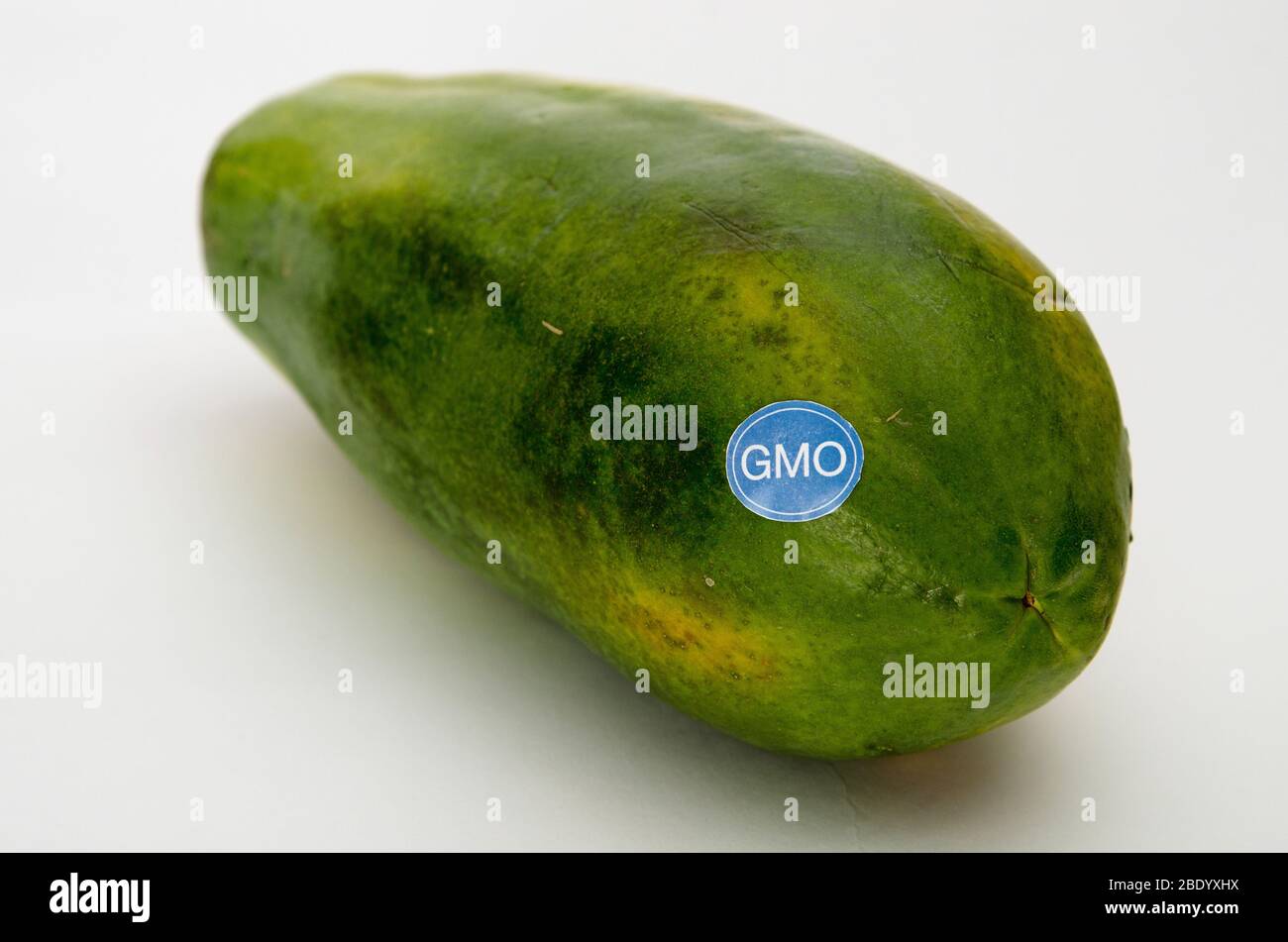 Genetically Modified Produce, Papaya Stock Photo