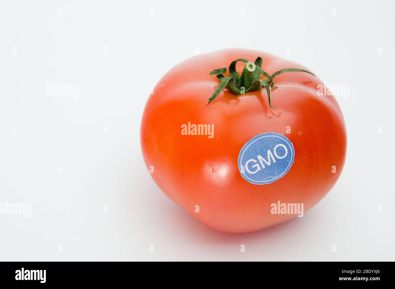 Genetically Modified Produce, Tomato Stock Photo